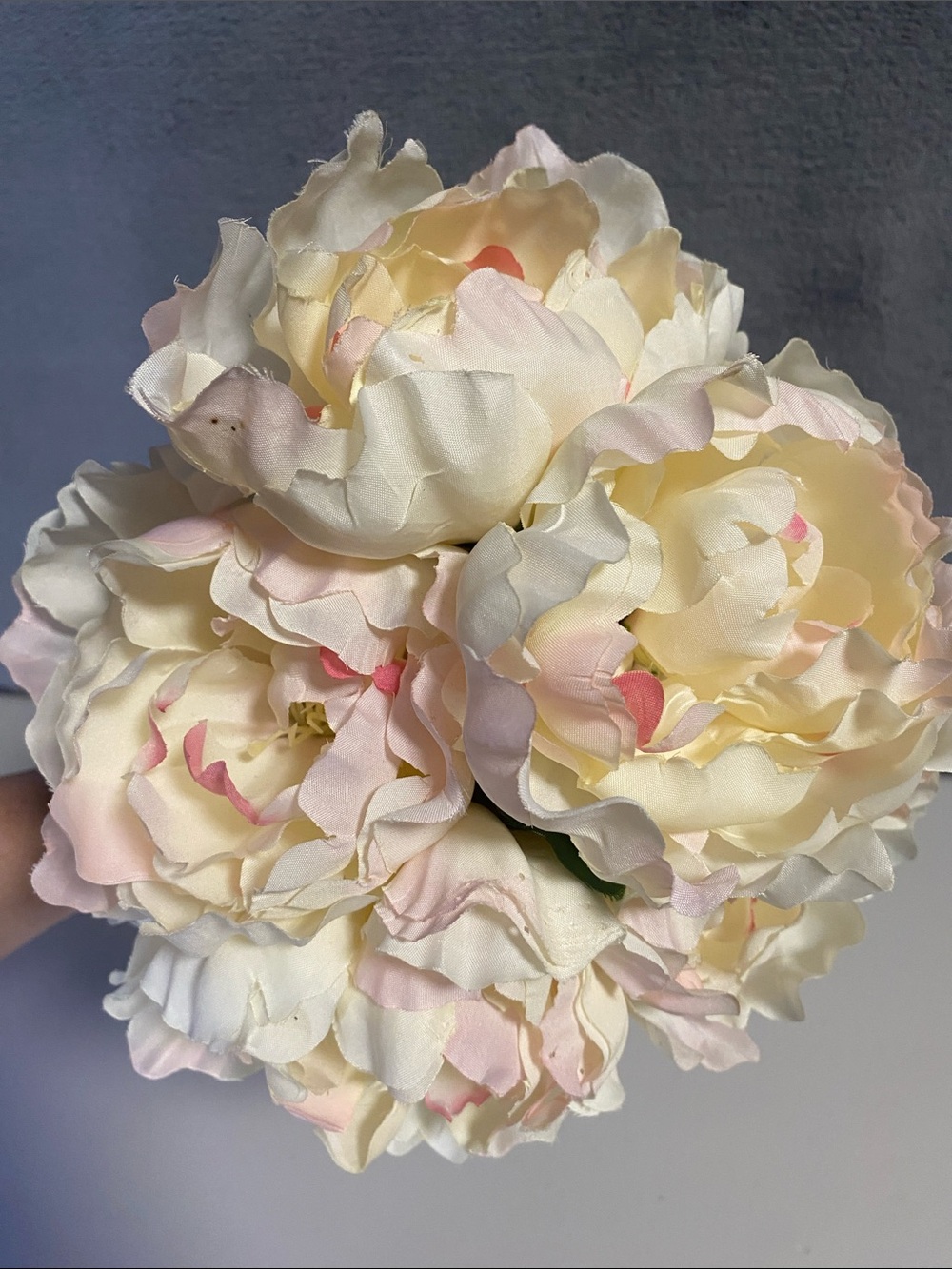 Bunch of 5 Cream & Blush Artificial Peony Stems